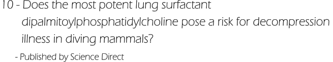 10 - Does the most potent lung surfactant         dipalmitoylphosphatidylcholine pose a risk for decompression         illness in diving mammals?       - Published by Science Direct