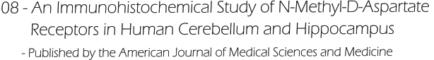 08 - An Immunohistochemical Study of N-Methyl-D-Aspartate         Receptors in Human Cerebellum and Hippocampus      - Published by the American Journal of Medical Sciences and Medicine