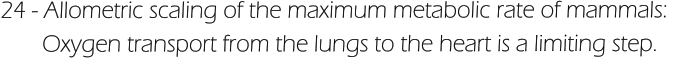 24 - Allometric scaling of the maximum metabolic rate of mammals:         Oxygen transport from the lungs to the heart is a limiting step.