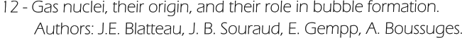 12 - Gas nuclei, their origin, and their role in bubble formation.          Authors: J.E. Blatteau, J. B. Souraud, E. Gempp, A. Boussuges.