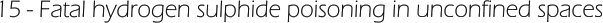 15 - Fatal hydrogen sulphide poisoning in unconfined spaces