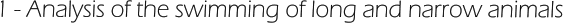 1 - Analysis of the swimming of long and narrow animals