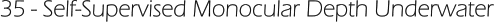 35 - Self-Supervised Monocular Depth Underwater