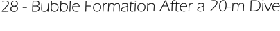 28 - Bubble Formation After a 20-m Dive